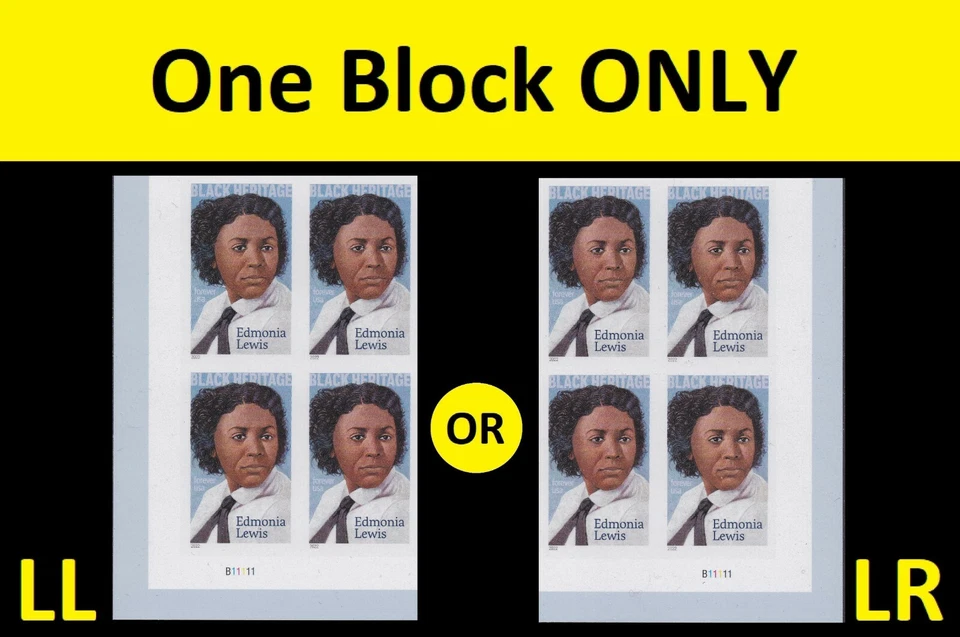 US 5663a Black Heritage Edmonia Lewis imperf NDC plate block 4 MNH 2022 - Image 1 of 1