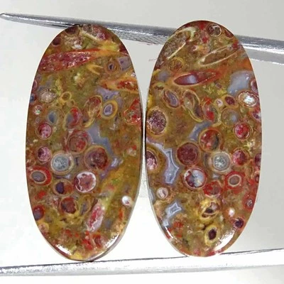 23.90Cts Natural Red Palm Root Agate Oval Pair Cabochon Loose Gemstone 13x26x4mm - Image 1 of 4