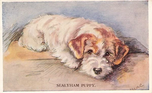 A/S LUCY DAWSON MAC TAILWAGGER POSTAL SEALYHAM CACHORRO POSTAL DE COLECCIÓN 100824 T - Imagen 1 de 2