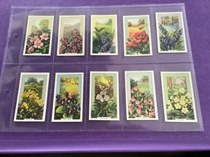 Wild Flowers full set Gallaher cigarette cards in plastic sleeves 1939 - Picture 1 of 10