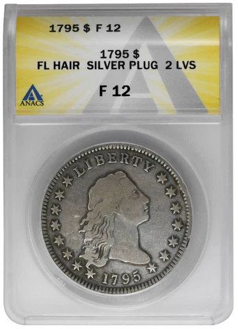 1795 $1 Silver Plug Flowing Hair Dollar, ANACS F12 Cover