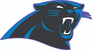 Panthers Inspired Curved Stripe Full Size Football Helmet Decals - Picture 1 of 3