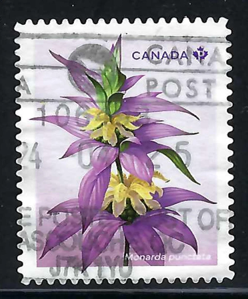 CANADA USED  - SCOTT 3417 - FROM BOOKLET - SPOTTED BEEBALM - 2024 — 第 1/1 张图片
