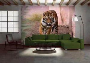 Tiger XL wall mural animal photo wallpaper wild cat 254x184 cm | 100x72 inch - Picture 1 of 5