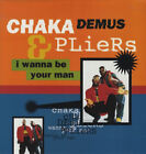 Chaka Demus  Pliers - I Wanna Be Your Man - Used Vinyl Record 12 - J16288z