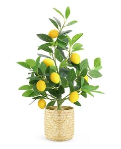 Fake Lemon Tree for Lemon Decor 23 Inches Nearly Natural Small Artificial Lem... - Picture 1 of 7