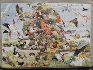 JUMBO 1000 PIECE JIGSAW PUZZLE -BIRD COLLAGE - Picture 1 of 4