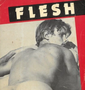 Flesh Vol. 2 1982, from STH, Boyd McDonald, Vintage Gay Erotic Stories, Rare - Picture 1 of 2