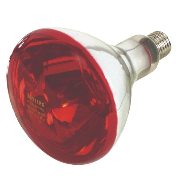 LAMPADA A RAGGI INFRAROSSI PER PULCINI E SUINETTI 240 V - E 27 - W 150 PHILIPS - Immagine 1 di 1