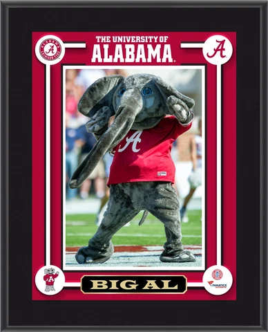Crimson Tide Big Al Mascot 10.5x13 Plaque - Fanatics Authentic Cover