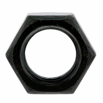 BRP 250100016 Hex Jam Nut M10 Ski-Doo Expedition Freeride Grand Touring GSX GTX - Image 1 of 4