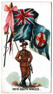 Rutter - 'Flags & Flags with Soldiers (A.2)' (c1902) - #14 - New South Wales - Picture 1 of 2