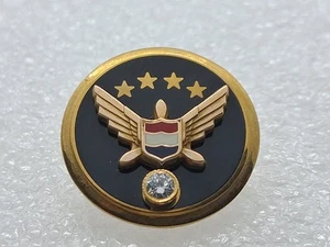 United Airlines Mitarbeiter Ruhestand Pin 1/5 10K - Bild 1 von 6