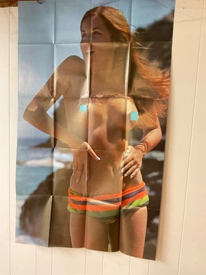 Vintage 1969  ADAM POSTER GIRL Poster 60s Pinup Sexy Woman 31”x52”Gee Bernard - Image 1 of 3