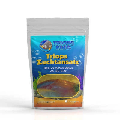 Triops Red Longicaudatus Kaulquappe Garnelenzucht Ei-Sand-Mix von Triops King - Bild 1 von 4