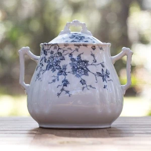 Wedgwood Celia Sugar Bowl Container Transferware 1860-1900 - Picture 1 of 11