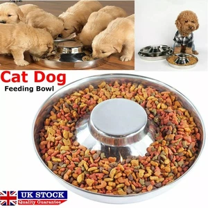 Dog Bowl Stainless Steel Pet Food Feeder, Cat Food Feeding Dish Pet Bowl, 2 Pack - Picture 1 of 4