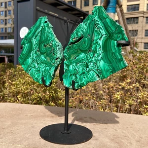 2.85lb Natural malachite Carved Butterfly Wings,Crystal wings Reiki + free Stand - Imagen 1 de 13