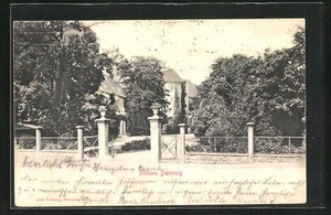 Droyssig, Ansichtskarte, Eingang zum Schloß Droyssig 1905 - Picture 1 of 2