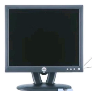 Dell E153FP LCD Monitor 1024x768  Resolution Brightness 250 cd/m2 15" - Picture 1 of 11