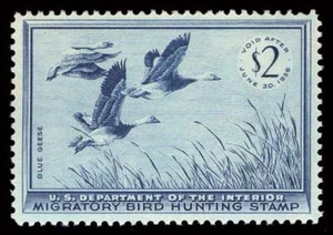 #RW22 1955 $2 VF 80 NH Blue goose - Picture 1 of 2