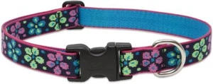 Lupine Originals "Flower Power" Dog Collars & Matching Leashes - Picture 1 of 9