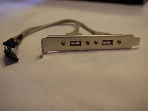 Goobay 93035 USB Slotblende USB2.0 20cm Blende mit USBkabel intern zum Mainboard - Picture 1 of 2