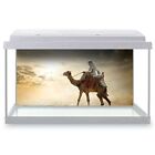 Fish Tank Background 90x45cm - Awesome Desert Camel Animals Sun  #8742