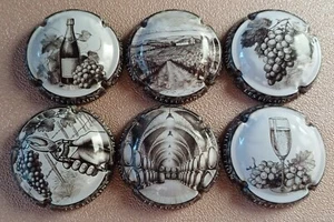 6 BELLES CAPSULES CHAMPAGNE GENERIQUE METIER ET RAISIN 2025 NEWS - Imagen 1 de 1