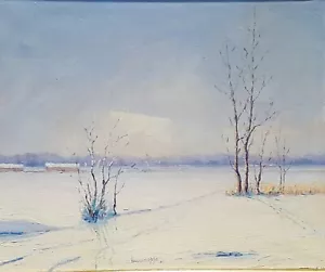 Bruno Coppo (Torino 1937) "Mattino dopo la nevicata". Olio su tela cm 50x60. - Imagen 1 de 12