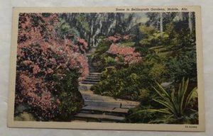 Scene In Bellingrath Gardens, Mobile, Alabama. Postcard (V2) - Picture 1 of 2