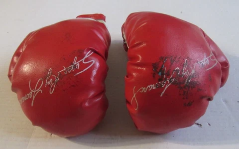 Vintage FRANKLIN SUGAR RAY LEONARD JR YOUTH  SIZE BOXING GLOVES Cover