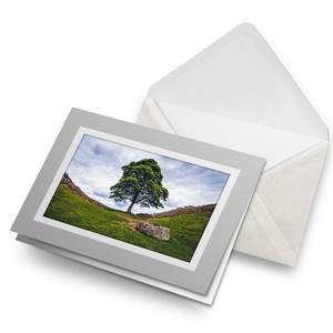 Greetings Card (Grey) - Hadrian's Wall Northumberland  #2196