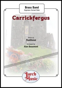 Carrickfergus - Cornetto soprano e fascia in ottone - LM399 - partitura completa e ricambi - Foto 1 di 1