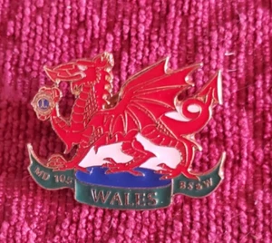 Lions Club Pin ,MD 105 ,BS & W Wales - Picture 1 of 2