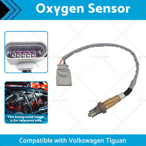 1x Oxygen Sensor Suitable for Volkswagen Tiguan Golf VII Skoda Kodiaq 12-16