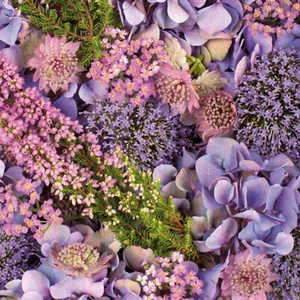 (2) Zwei Decoupage Servietten Papierserviette Botanisch Kostenloser Versand - Lila Blumen - Bild 1 von 6