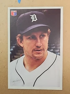 1984 FARMER JACK DETROIT TIGERS LANCE PARRISH - Picture 1 of 2
