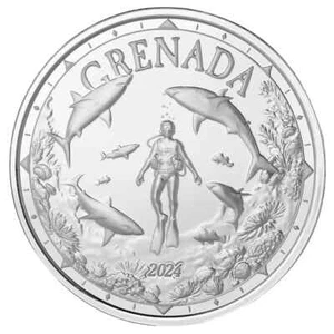 2024 EC8 Grenada | Shark Scuba Diver .999 Fine Silver Coin Proof Like - AUF LAGER - Bild 1 von 5