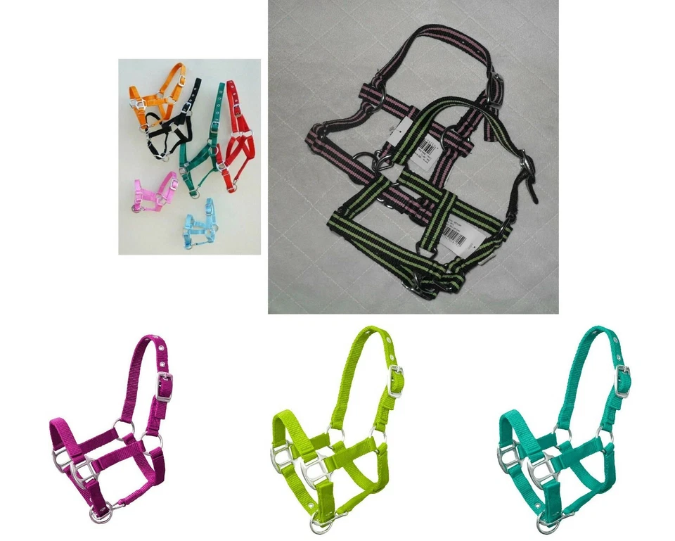 Fohlenhalfter für Mini Shetty und Shetty extra klein  Viele Farben DHL- Versand - Bild 1 von 4