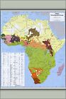Poster, Many Sizes; Cia Map Of Africa, Ethnolinguistic Groups 1996