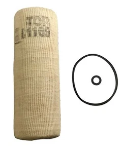 Fram C1169 Fuel Filter - Picture 1 of 1