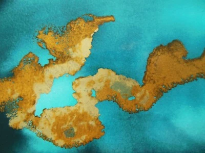 BEETHOVEN, ARTHUR GRUMIAUX, CLARA HASKIL - Violin & Piano Sonatas Vol.1 in  EX+ - Image 1 of 4