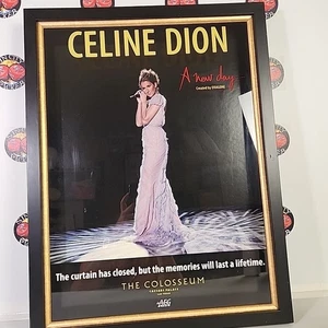 Celine Dion A New Day Framed Shadow Box Promo Caesars Palace Las Vegas AEG 26x20 - Bild 1 von 14