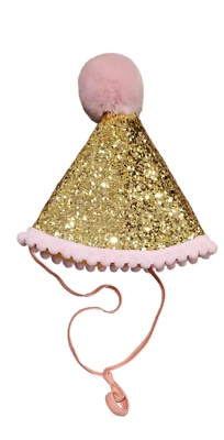 Dog Party Hat - Image 1 of 2