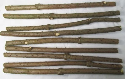 10 x 40cm Natural ELDER Wood Branches Sticks Bark Wood Craft Art Decoration - Image 1 of 4