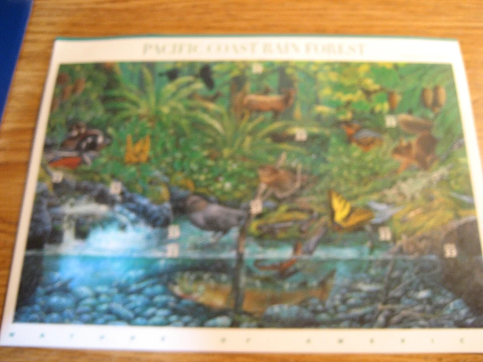 USPS Stamps, Full Sheet, Pacific Coast Rain Forest, #3378, 10 stamps - Image 1 of 1