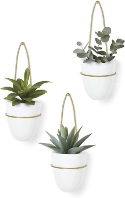 Umbra 3件套黄铜白色/黄铜悬挂花盆 — 第 1/4 张图片