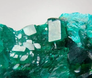 DIOPTASE -- beautiful crystals ! Republic CONGO Pool Department RENEVILLE /pl383 - Picture 1 of 15