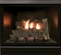 Empire Mantis G Class Fireplace Insert Direct Vent Most Efficient